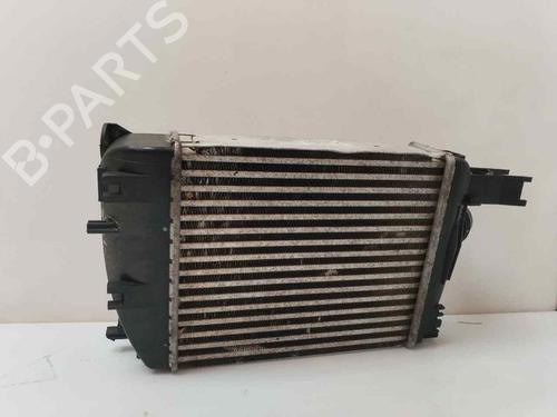 Intercooler DACIA DOKKER MPV (KE_) | BP18905210M30