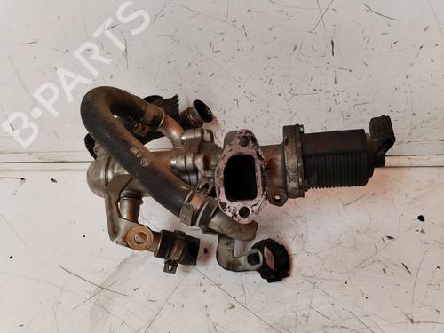 Egr SUZUKI IGNIS II (MH) 1.3 DDiS (RM413D) | BP17859290M69 