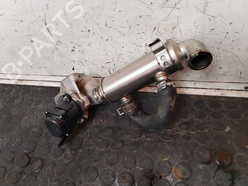 Egr CITROËN NEMO Box Body/MPV (AA_) 1.4 HDi | BP17504527M69