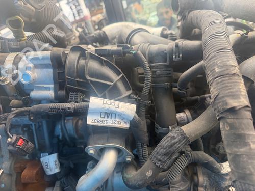 Engine FORD TRANSIT V363 Van (FCD, FDD)  | BP31648673M1 