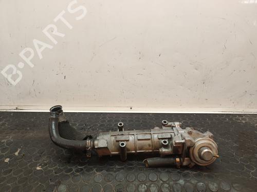 Egr IVECO DAILY IV Platform/Chassis  | BP17625050M69 