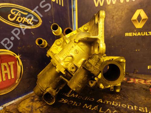 Egr RENAULT KANGOO Express (FW0/1_)  | BP17509020M69 