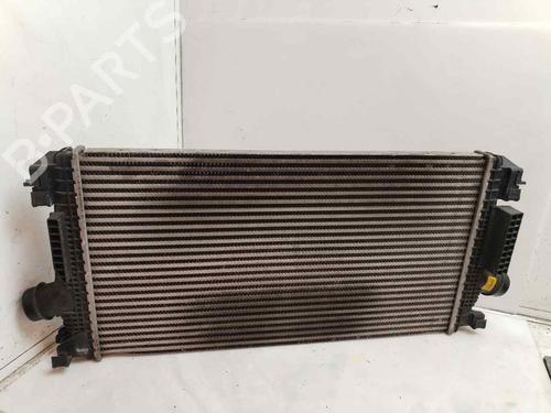 Køler FIAT DOBLO Cargo (263_) 1.3 D Multijet (90 hp) 20703430