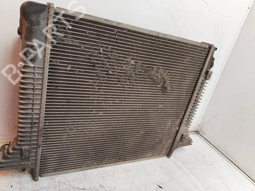 Used Water radiator MERCEDES-BENZ eVITO Van (W447) [2019-2025]  17573091