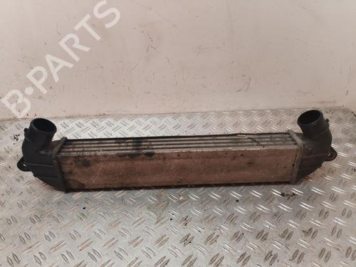 Used Intercooler FIAT DOBLO MPV (119_, 223_) [2001-2025]  30944658