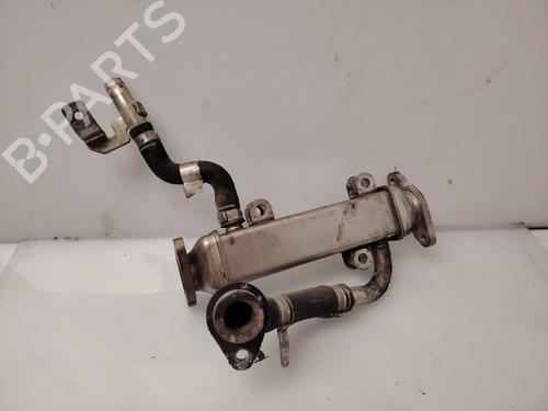 Egr FIAT DUCATO Platform/Chassis (250_) | BP31849141M69