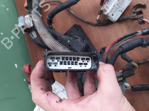 Cable LAND ROVER RANGE ROVER SPORT I (L320)  | BP24978343E12 