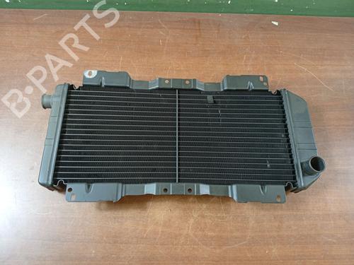 Used Water radiator FORD ESCORT IV (GAF, AWF, ABFT) [1983-1994]  31624280