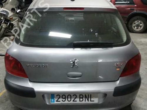 Middle console PEUGEOT 307 (3A/C) 2.0 HDi 90 | BP17841117I22 