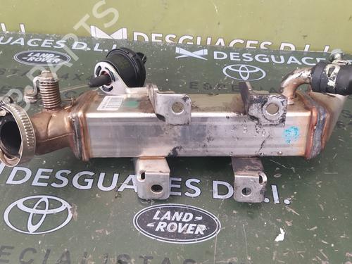 Egr NISSAN QASHQAI / QASHQAI +2 I (J10, NJ10, JJ10E)  | BP18096934M69 