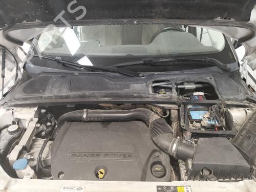 Griglia sotto parabrezza Griglia sotto parabrezza LAND ROVER RANGE ROVER EVOQUE (L538) [2011-2019] 36842129 36842129