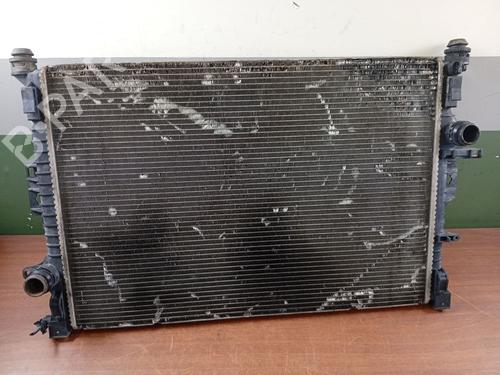 Køler LAND ROVER FREELANDER 2 (L359) 2.2 TD4 4x4 (152 hp) 17849956