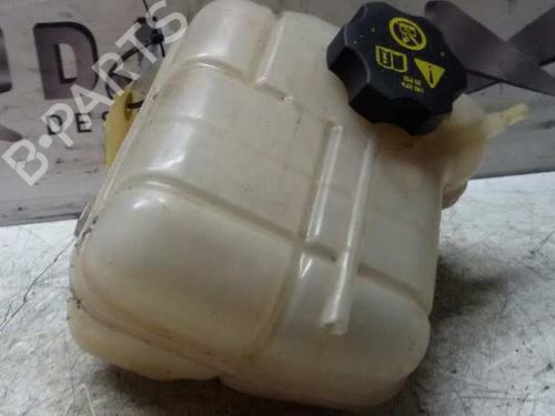Expansion tank OPEL INSIGNIA A Sports Tourer (G09) 2.0 CDTI (35) | BP17844741C120 