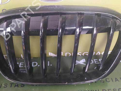 Grille BMW X1 (F48) sDrive 18 i | BP19423951C40 