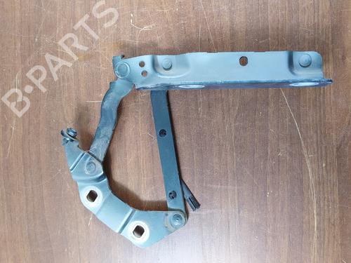 Hinge/Door check strap LAND ROVER FREELANDER 2 (L359) 2.2 TD4 4x4 | BP24516714C146 