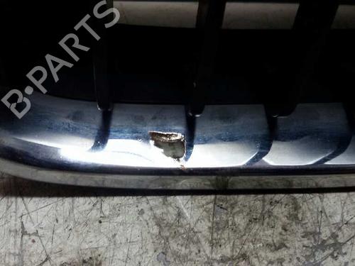 Grille BMW 3 (E46) 320 d | BP17847158C40 