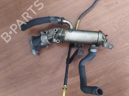 Egr LAND ROVER RANGE ROVER SPORT I (L320)  | BP24980173M69 