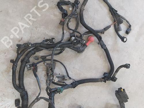 Used Wiring harness Wiring harness 37171181 37171181
