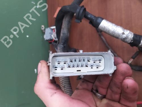 Cable LAND ROVER RANGE ROVER SPORT I (L320)  | BP24978343E12 