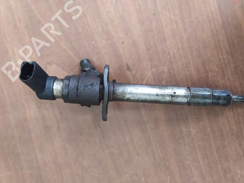 Injector LAND ROVER RANGE ROVER SPORT I (L320)  | BP24997208M100 