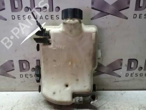 Used Expansion tank PEUGEOT 206 Hatchback (2A/C) 1.9 D (69 hp) 17847366