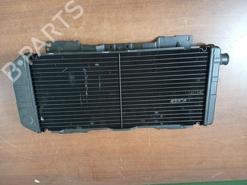 Used Water radiator FORD ESCORT IV (GAF, AWF, ABFT) [1983-1994]  31624279