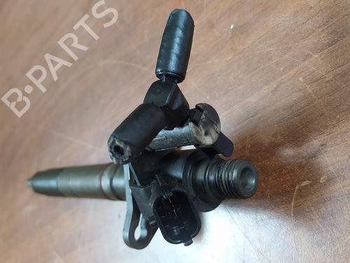 Injector LAND ROVER RANGE ROVER SPORT II (L494) 3.0 TDV6 4x4 | BP25005115M100 