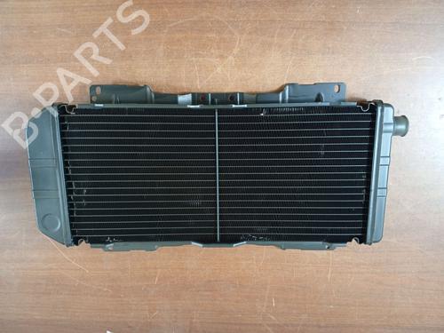 Used Water radiator FORD ESCORT IV (GAF, AWF, ABFT) [1983-1994]  31624281