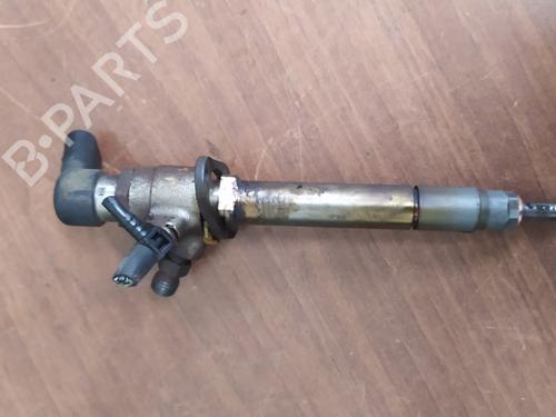 Injector LAND ROVER RANGE ROVER SPORT I (L320)  | BP24997209M100 