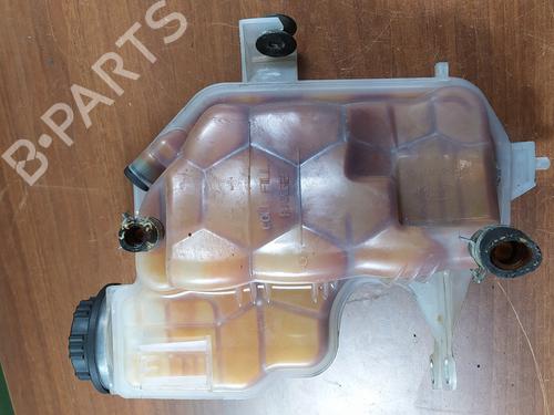 Ekpansionstank LAND ROVER RANGE ROVER SPORT I (L320) [2005-2013]  24822700