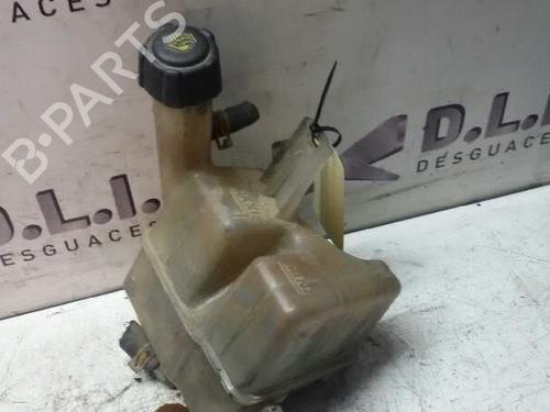 Deposito expansion RENAULT LAGUNA II (BG0/1_) 1.9 dCi (BG08, BG0G) (120 hp) 17840864