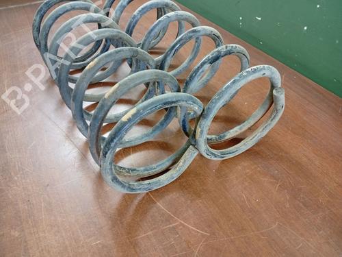 Shock absorber spring LAND ROVER DISCOVERY II (L318) 2.5 Td5 4x4 | BP29326452C152 