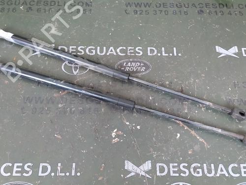 Tailgate lift support LAND ROVER RANGE ROVER SPORT I (L320) 3.6 D 4x4 | BP17841674C138 