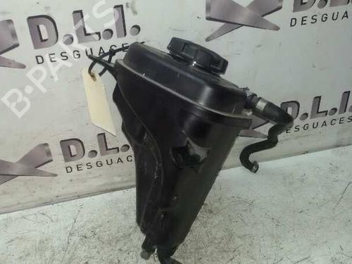 Used Expansion tank BMW X6 (E71, E72) xDrive 30 d (245 hp) 17843658