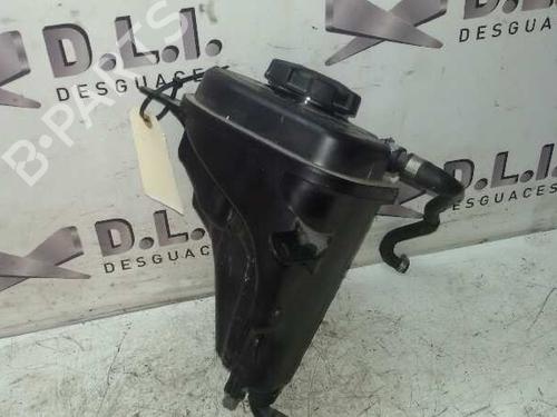 Vase D'Expansion BMW X6 (E71, E72) xDrive 30 d (245 hp) 17843658