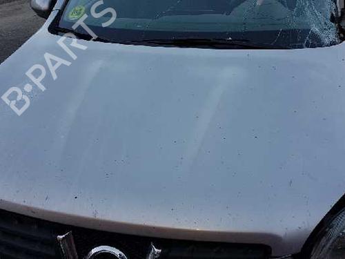 Used Hood NISSAN QASHQAI / QASHQAI +2 I (J10, NJ10, JJ10E) 1.5 dCi (106 hp) 17844001
