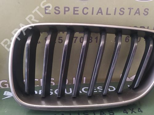 Grille BMW 2 Coupe (F22, F87) M 240 i xDrive | BP17850452C40 
