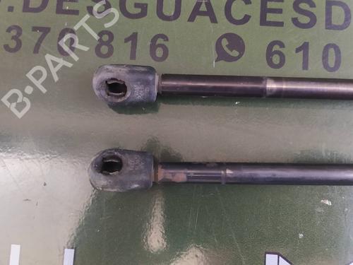 Tailgate lift support LAND ROVER RANGE ROVER SPORT I (L320) 2.7 D 4x4 | BP17850615C138 