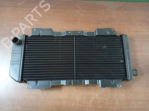 Used Water radiator FORD ESCORT IV (GAF, AWF, ABFT) [1983-1994]  31624283