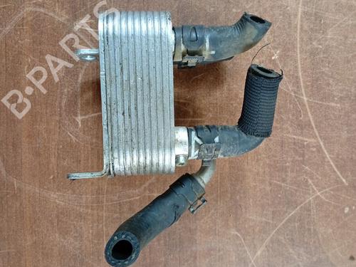 Annen VW TOUAREG (7LA, 7L6, 7L7) 5.0 V10 TDI (313 hp) 30387644