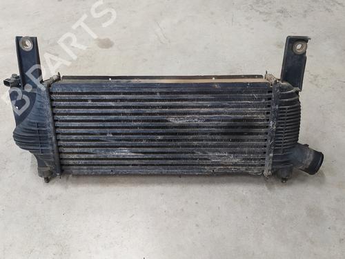 Intercooler NISSAN NAVARA NP300 (D40) 2.5 dCi 4WD (D40TT, D40T, D40M, D40BB) | BP24469683M30 