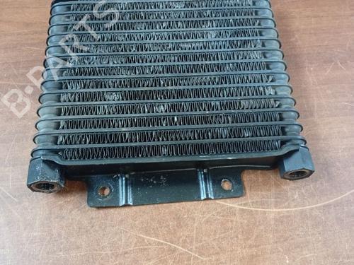 Oil radiator MITSUBISHI PAJERO II (V3_W, V2_W, V4_W, V5_W) 2.5 TD 4WD (V24W) | BP29114081M33