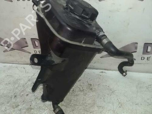 Expansion tank BMW X6 (E71, E72) xDrive 30 d | BP17843658C120