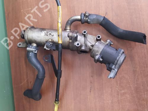 Used Egr LAND ROVER RANGE ROVER SPORT I (L320) [2005-2013]  24980173