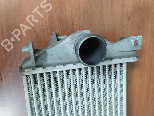 Intercooler LAND ROVER DISCOVERY III (L319) 2.7 TD 4x4 | BP23072646M30 