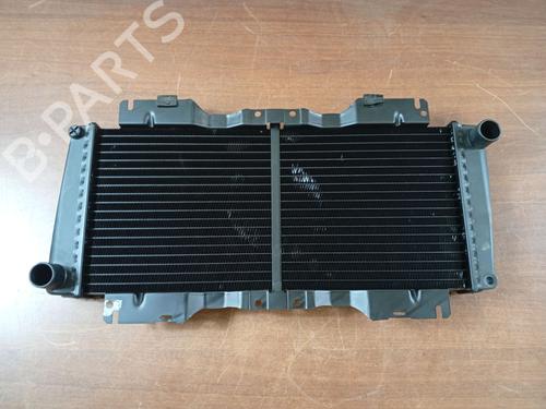 Used Water radiator FORD FIESTA I (GFBT) [1976-1983]  31624284