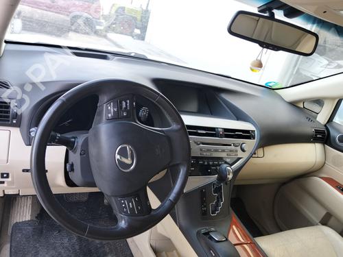 - Image 7