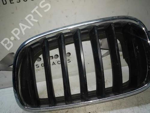 Front grille BMW X6 (E71, E72) xDrive 30 d (245 hp) 17843132