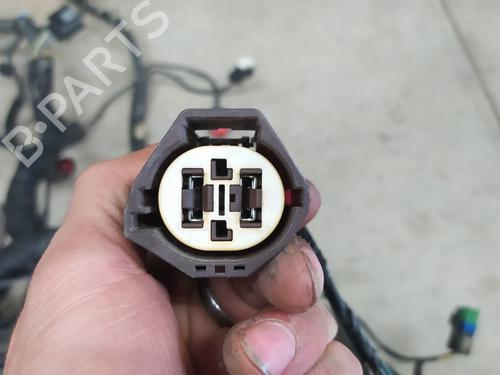 Cable LAND ROVER RANGE ROVER EVOQUE (L538) 2.2 D 4x4 | BP25739129E12 