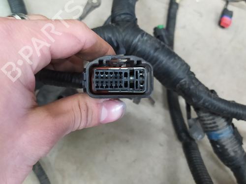 Cable LAND ROVER RANGE ROVER EVOQUE (L538) 2.2 D 4x4 | BP25739129E12 